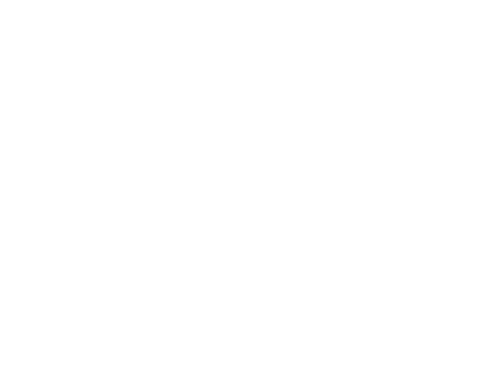 Firmalex, Tax labour & audit